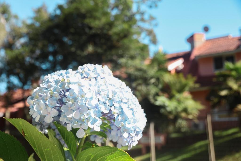 Chale Encantos Villa Gramado Eksteriør bilde
